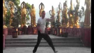 Fatsan Pakmei 10 (Bouddha Fist Form) 佛山 白眉拳