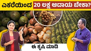 1 ಎಕರೆಗೆ 20 ಲಕ್ಷ ಆದಾಯ  | Most Expensive Nut Macadamia Farming | Macadamia Nuts Cultivation