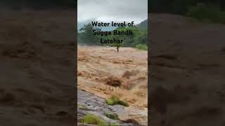 Water Level of Sugga Bandh Latehar #news #jharkhand #waterfall #latehar_news #heavyrain