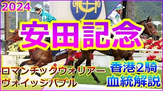 【2024 安田記念 香港馬2頭を血統解説】 ロマンチックウォリアー、ヴォイッジバブルを紐解く！