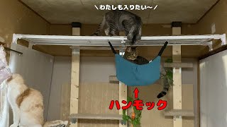 キャットタワーにハンモックをつけてみた