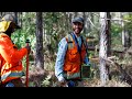 Choose Rayonier for Your Forestry Career