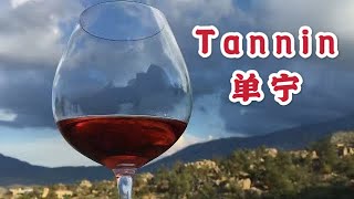 单宁是什么，什么是红酒中的单宁？What are tannins in red wine?【手绘视频】