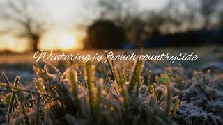 🌲journées d'hiver cosy au cottage🌲 VLOG/slow life/pleine lune/crochet