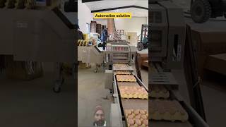 #egg #eggs #sorting #packaging #packing #eggplant #machine #factory #trending #food #manufacturing