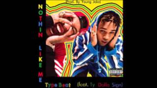 Chris Brown,Tyga Ft  Ty Dolla Sign - Nothin Like me