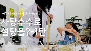 사탕수수로 설탕을? - 머든쌤이랑 이상한 과학놀이