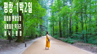 평창 1박2일...월정사, 봉평시장, 휘닉스 워터파크