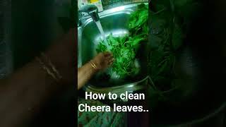 How to clean cheera leaves perfectly.. ? #spinach