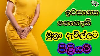 මුත්‍රා දැවිල්ලට හොඳම විසදුම් - Sinhala health tips | Muthra davilla