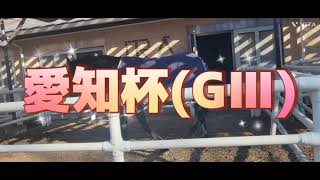 愛知杯(GⅢ)の予想