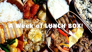 [A WEEK OF LUNCH BOX] 일주일 남편 도시락 싸기│직장인 도시락│두부산도│칠리새우│원팬잡채│곤드레나물밥