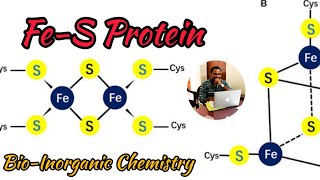 Fe-S Protein #bioinorganic Chemistry