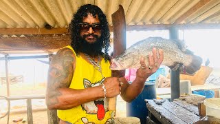 Fish Cutting Skills Negombo Fish Market.lanka negombo fish