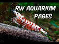 RW Aquarium Pages Introduction