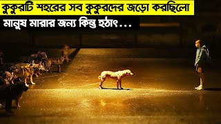 কুকুরদের রাজা সব মানুষকে মেরে ফেলতে চাচ্ছিলো কিন্তু হঠাৎ তার মালিকের সাথে দেখা হয়ে যায়