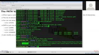 213 Shell Scripts: Part II