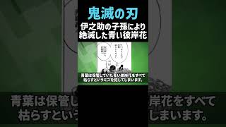 【鬼滅の刃】絶滅した青い彼岸花