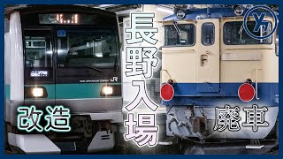 【立て続けに長野へ】E233系マト13編成 入場回送 \u0026 EF65-1104 廃車回送