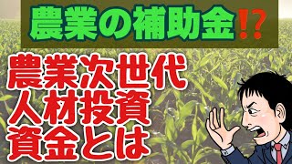 最大690万円！？農業の補助金！農業次世代人材投資資金とは？？