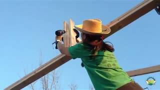 Building roof trusses. Chicken coop Part 11