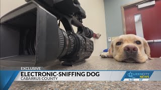Cabarrus County uses electronic-sniffing dog
