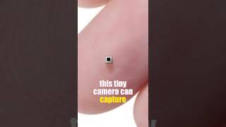 The World's Smallest Camera! | Science Fact #factshorts