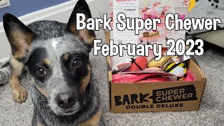 Bark Super Chewer February 2023 ~ Unboxing and Review ~