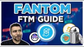 Profit from Flash Loan Arbitrage with Fantom FTM by utilizing CREAM Finance and ZooCoin 1