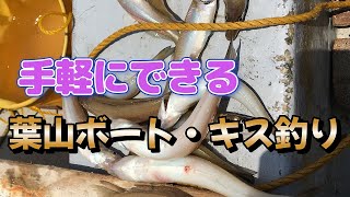 【葉山ボート釣り】　シロギス本命もメゴチ地獄！