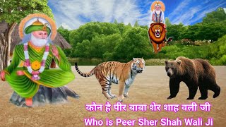 असल में कौन है पीर शेर शाह वली - करामात पीर शेर शाह वली जी की - Who Is Real Peer Baba Sher Wali Ji.