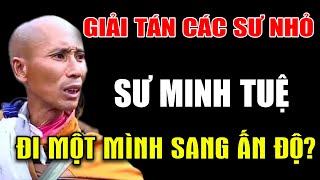 Căng! Cần giải tán đội sự nhỏ để Sư Minh Tuệ đi một mình sang Ấn Độ?