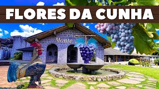 FLORES DA CUNHA - RS: Terra do Galo, da Uva e do Vinho na Serra Gaúcha - Tati Marmon