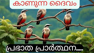 കാണുന്നു നിന്റെ കണ്ണീർ ❤️ദൈവം/GOD CAN SEE YOUR TEARS/RANI ANTHONY RAJ.