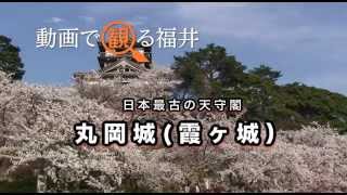 動画で観る福井　日本最古の天守閣「丸岡城（霞ヶ城）」