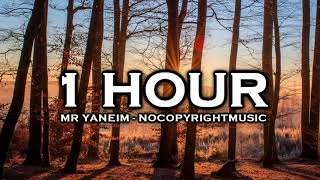 Joakim Karud - Dreams (1 HOUR VERSION) ♫ NoCopyrightMusic ♫