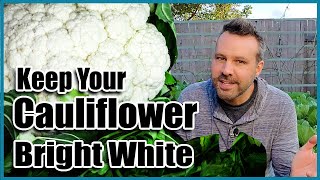 Keep Your Cauliflower Bright White - Quick Tip Tuesday