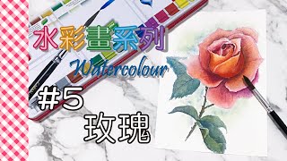 水彩畫系列 Watercolour  ✻【#5 玫瑰】✻ 水彩 Watercolour painting ✻【5 Rose】水彩示範