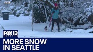 Snowfall in Seattle brings out neighborhood skiers