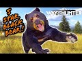 5 star American Black Bear Hunt! | Way of the Hunter