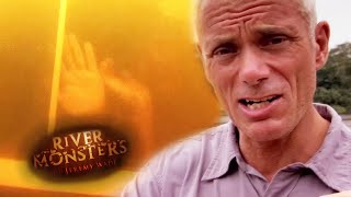 Perilous Piranha | COMPILATION | River Monsters