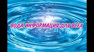 Вода Информация для всех