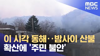 이 시각 동해‥밤사이 산불 확산에 '주민 불안' (2022.03.06/뉴스특보/MBC)