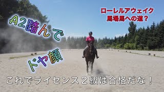 あーこっこ乗馬日記〜暑すぎて砂漠みたいだぜ！その中でA２経路やったぜ！