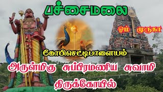 Pachamalai subramaniyaswamy #gobichetipalayam #erode பச்சமலை முருகன் கோயில் கோபிசெட்டிபாளையம் #vlog