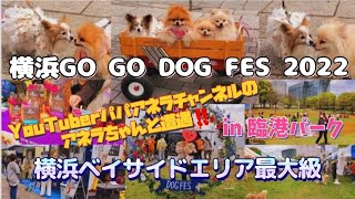 【最新】【横浜GOGO DOG FES 2022】【臨港パーク】の様子【犬イベント】