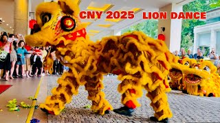 Singapore Chinese New Year 2025 | CNY Lion Dance