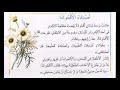 اصدقاء الاقحوانة تقويم و دعم الوحدة 6