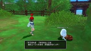 DQX 時の化身クルッチから受け取った心を使ってみた