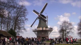 2016 8 april 2016 Keukenhof gardens